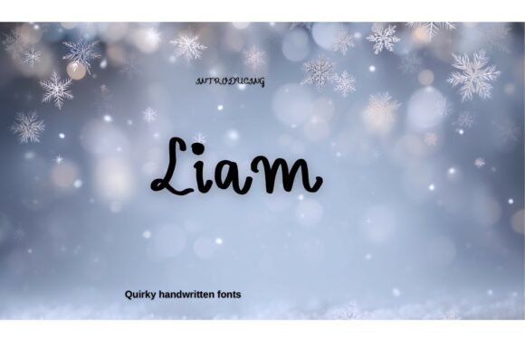 Liam Font: A Whimsical Typeface for Campaigns