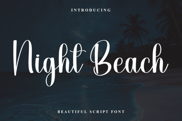 Night Beach: A Sophisticated Script Font for Campaigns