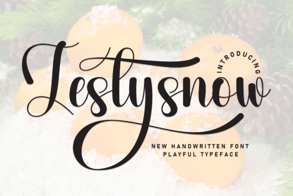Zestysnow: A Whimsical Handwritten Display Font for Brands